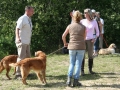 k-IMG_4848