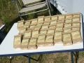 k-IMG_4866