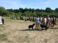 k-IMG_4898