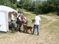 k-IMG_4951