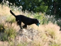 k-IMG_3866