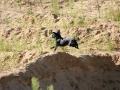 k-IMG_3880