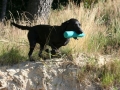k-IMG_3885