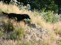 k-IMG_3909
