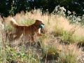 k-IMG_3925