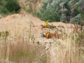 k-IMG_4039