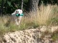 k-IMG_4054