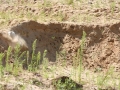 k-IMG_4060
