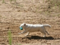 k-IMG_4062