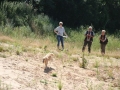 k-IMG_4085