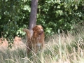 k-IMG_4096