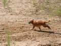 k-IMG_4108