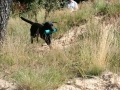 k-IMG_4135