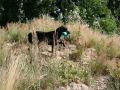 k-IMG_4147