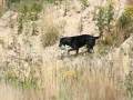 k-IMG_4161