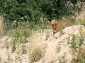 k-IMG_4170