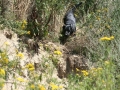 k-IMG_4194