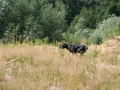 k-IMG_4204