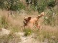 k-IMG_4227