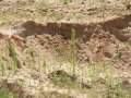 k-IMG_4271