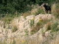 k-IMG_4286