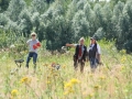 k-IMG_4293