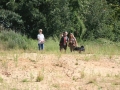 k-IMG_4377