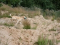 k-IMG_4483