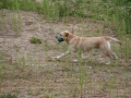k-IMG_4496