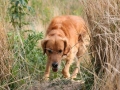 k-IMG_4536