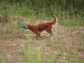 k-IMG_4560