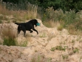 k-IMG_4566