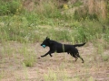 k-IMG_4580