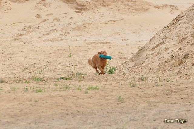 k-DSC_9110