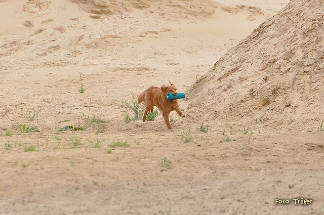 k-DSC_9111