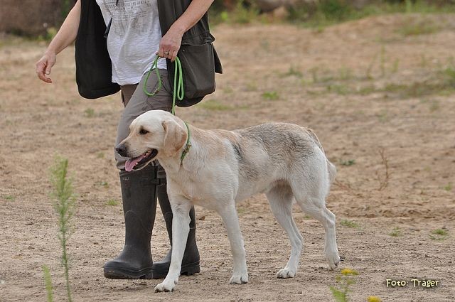 k-DSC_9651
