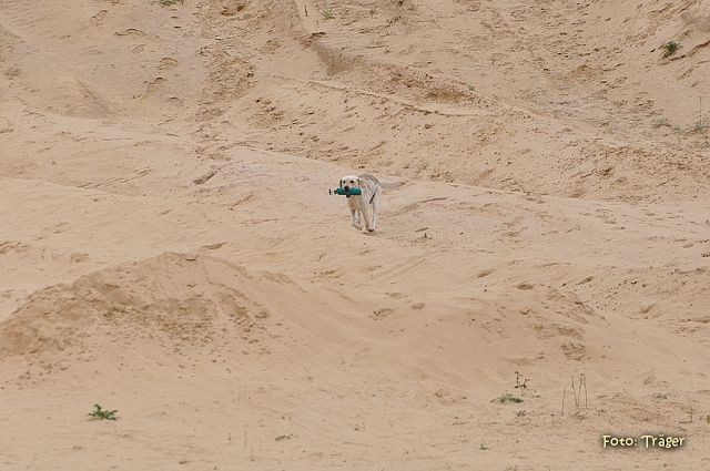 k-DSC_9664