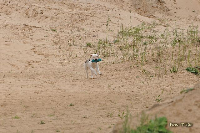 k-DSC_9669