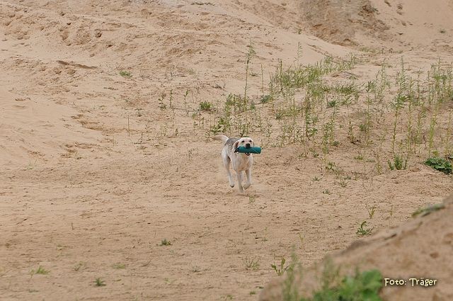 k-DSC_9670