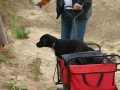 k-IMG_3920