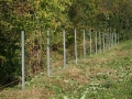 k-IMG_4430
