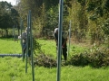 k-IMG_4434