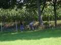k-IMG_4435