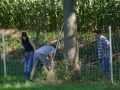 k-IMG_4436