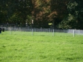 k-IMG_4461