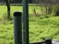 k-IMG_4474