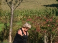 k-IMG_4482